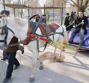 Akaryakıt zammına çözüm!