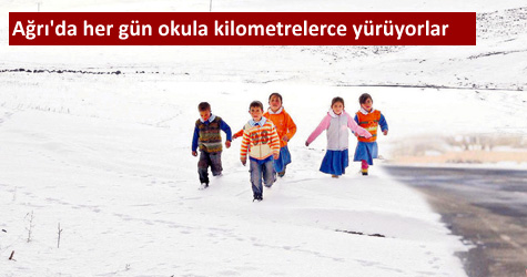 Soğuğa ve kurt sürülerine rağmen