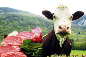 70 milyonu ilgilendiren haber