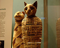 Valizinden 2 bin yıllık mumya çıktı