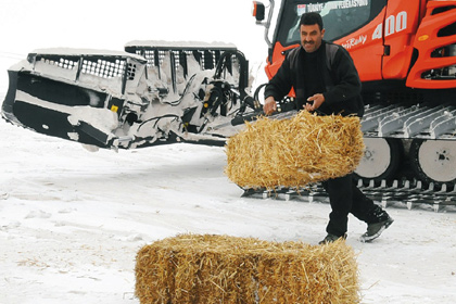 Dikkatli kayın saman var