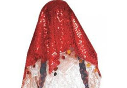 'Çocuk Gelin Yerine Liseli Olsunlar'