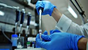 Komşuda domuz gribi salgını ilan edildi