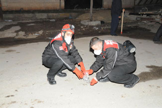 Kilis'i saran esrarengiz koku