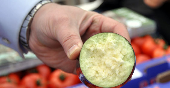 Patlıcanda "tatlıcan" devrimi