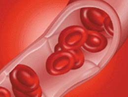 Kansızlığa karşı birebir!