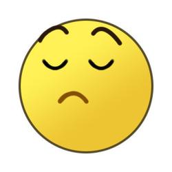 Hollanda mahkemesinden tarihi karar