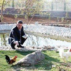 YÖK Başkanı'nın horozu artık onun