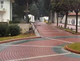 TMSF Halis Ağa'yı kapıya koydu!