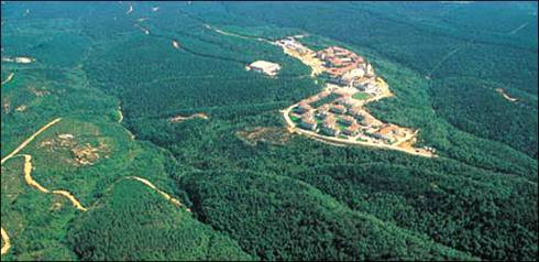 2B yasası kimleri mağdur edecek?