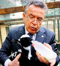 Özcan'dan 'dördüz koyun' projesi