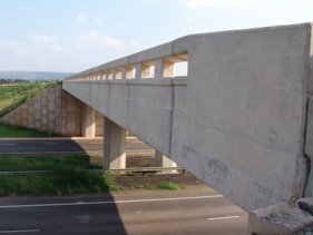 Hayvanlar İçin de Köprü Kurulacak