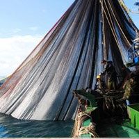 Balıkçılar sezondan memnun değil