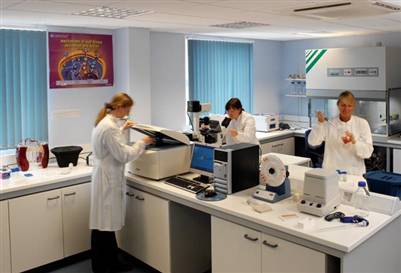 Hepatit B hızla artıyor