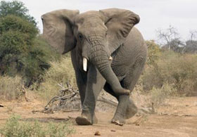 Bu Soru da YGS'de Soruldu