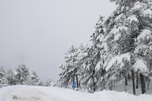 Baharı beklerken kar geldi