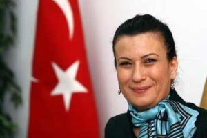 Çubukçu'ya Sunulacak Bir Rapor Hazırlanıyor