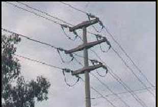 Türkiye'de bir ilk: Mısırdan elektrik üretilecek