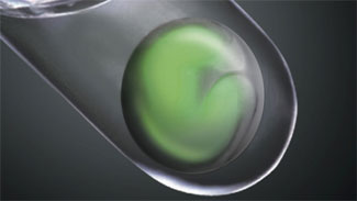 Körlük tarih oluyor