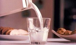 Süt üretim miktarında artış