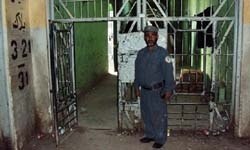 Bu delikten 540 kişi kaçtı!