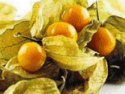 Altın çileğe kanmayın