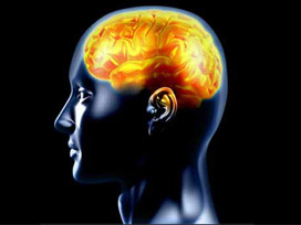 Zekayı belirleyen gen keşfedildi