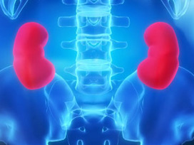 Türk profesörden ses getiren buluş