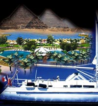 Şirketler çıldırmış olmalı!