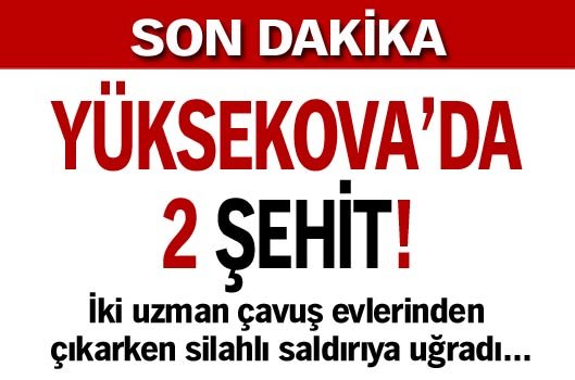 Yüksekova'da 2 şehit!