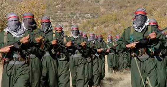 İran Ordusu, Irak'a girdi