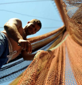 Av sezonu başlıyor