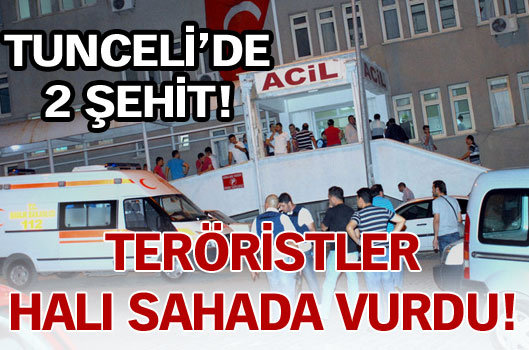 Tunceli'de 2 şehit!