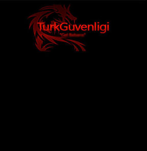 "Türk Güvenliği"nden büyük saldırı