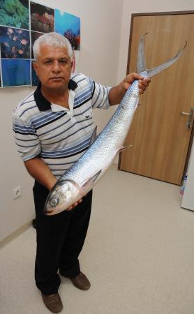 600 deniz mili katetti, Antalya'da yakalandı