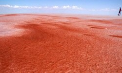 Tuz Gölü, 'Kan Gölü' oldu