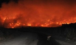 Manisa'nın üzerini dumanlar kapladı