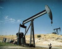 Batman'da ahırdan petrol fışkırdı