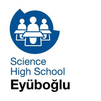 Eyüboğlu Eğitim Kurumları'ndan Uluslararası Başarı