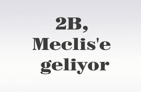 2B, Meclis'e geliyor