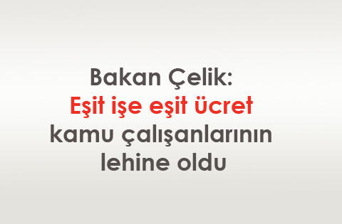 Çelik: Eşit işe eşit ücret kamu çalışanlarının lehine oldu