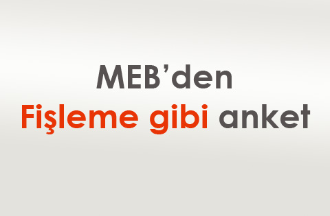 MEB'den "Fişleme" gibi anket