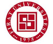 Fırat Üniversitesi Öğretim Üyesi Alım İlanı