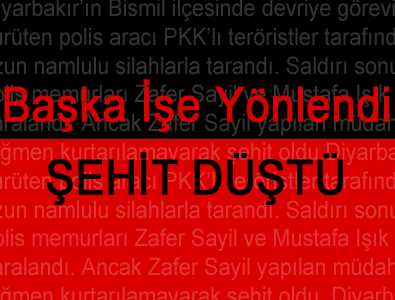 Başka işe yöneldi, şehit oldu