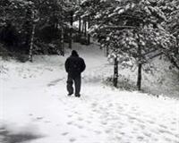 Kar geri mi geliyor?