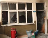 Okulda tiner faciası