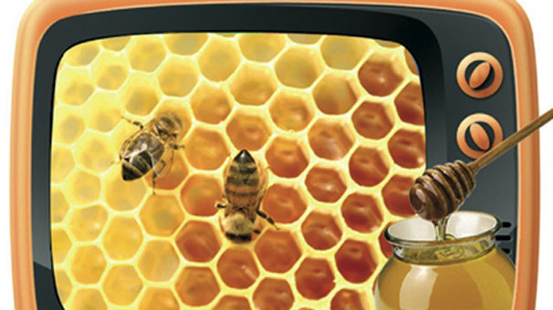 Ekrandan ballı tuzak