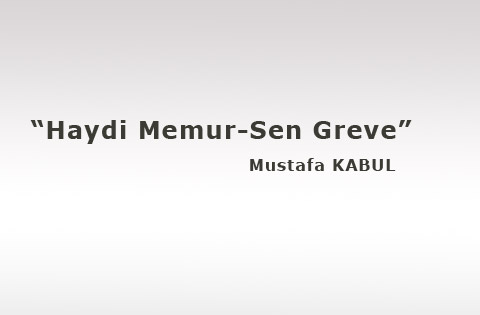Haydi Memur-Sen Greve