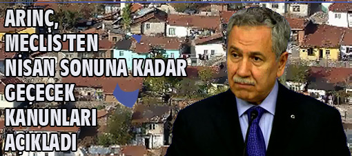 Arınç hükümetin önceliklerini açıkladı