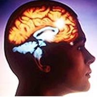 Diyet hafızayı güçlendiriyor